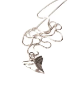 Madewell Charlotte Cauwe Studio Shark Tooth Necklace In Sterling Silver