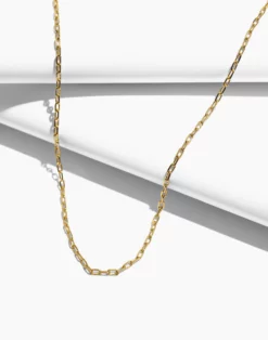 Madewell Delicate Collection Demi-Fine Paperclip Chain Necklace